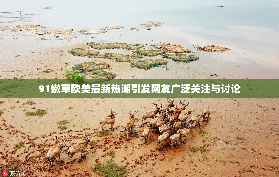 91嫩草欧美最新热潮引发网友广泛关注与讨论