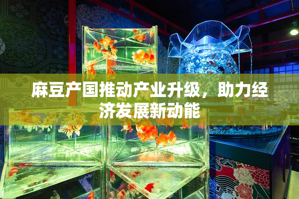 麻豆产国推动产业升级，助力经济发展新动能