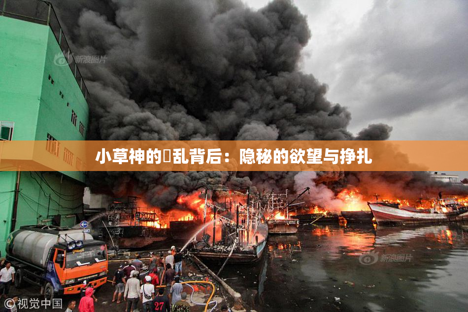 小草神的婬乱背后：隐秘的欲望与挣扎