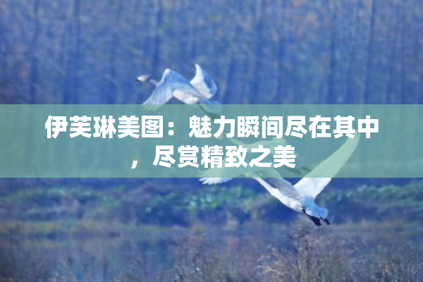 伊芙琳美图：魅力瞬间尽在其中，尽赏精致之美