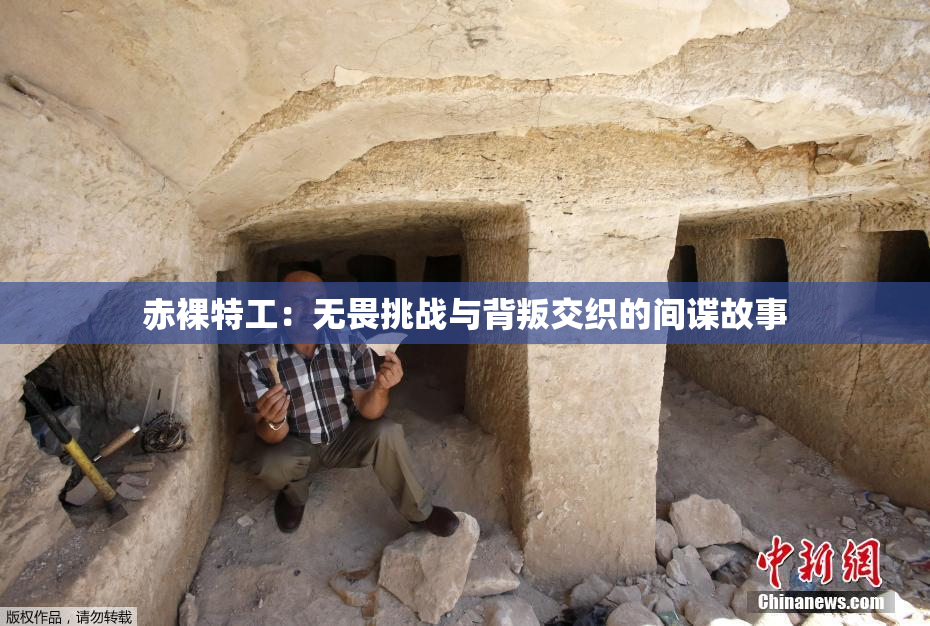 赤裸特工：无畏挑战与背叛交织的间谍故事