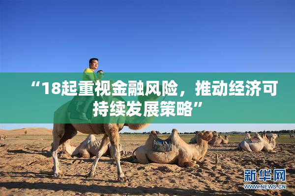 “18起重视金融风险，推动经济可持续发展策略”