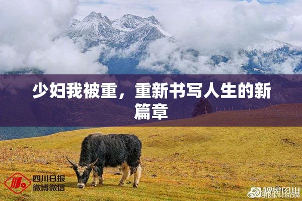 少妇我被重，重新书写人生的新篇章