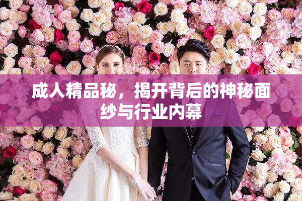 成人精品秘，揭开背后的神秘面纱与行业内幕