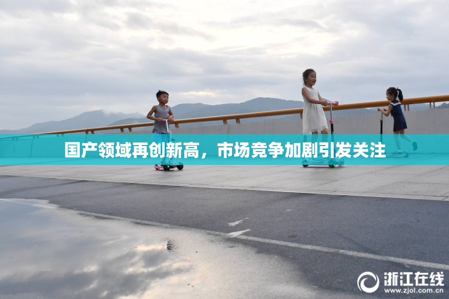 国产领域再创新高，市场竞争加剧引发关注