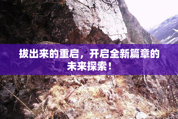 拔出来的重启，开启全新篇章的未来探索！