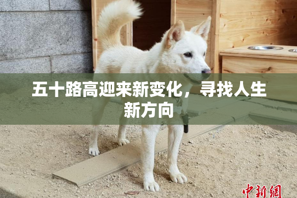 五十路高迎来新变化，寻找人生新方向