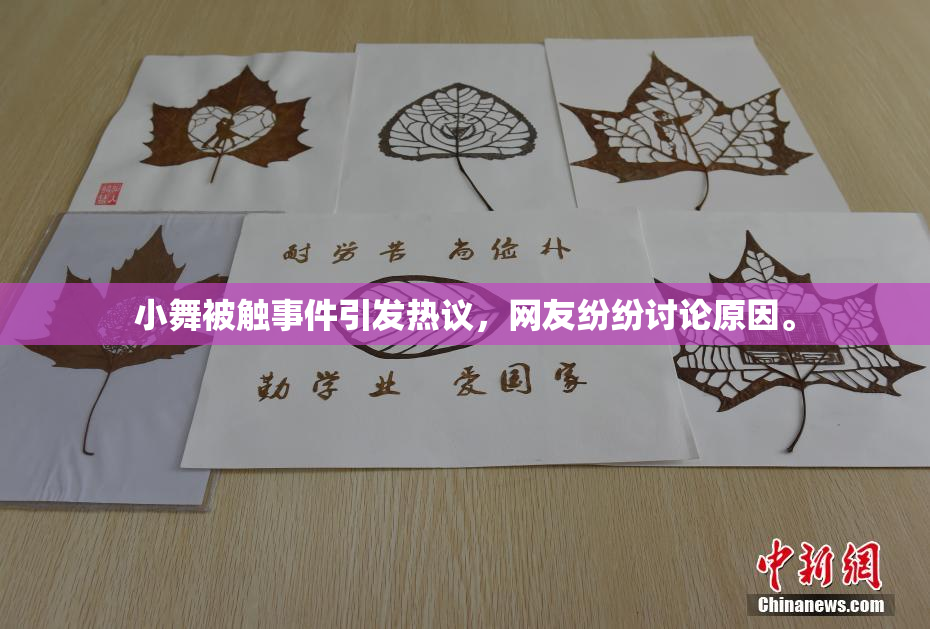 小舞被触事件引发热议，网友纷纷讨论原因。