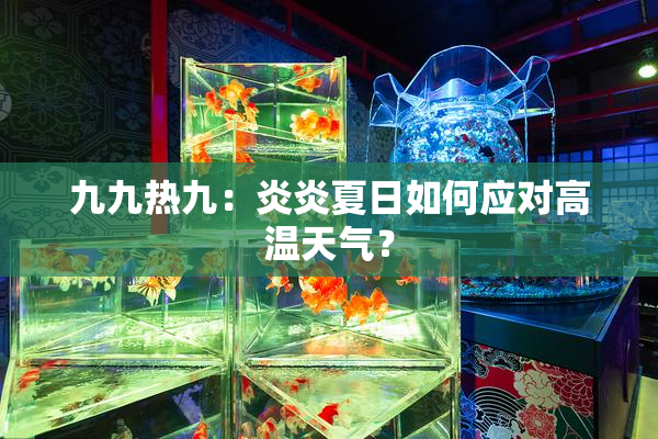 九九热九：炎炎夏日如何应对高温天气？