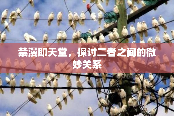禁漫即天堂，探讨二者之间的微妙关系