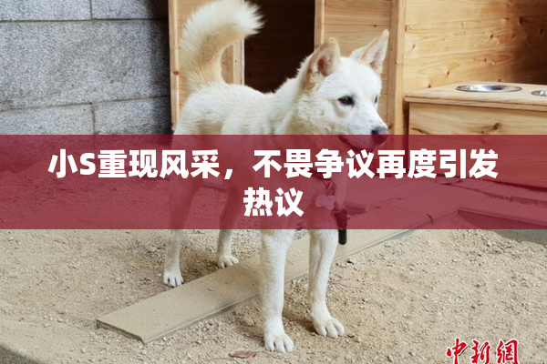 小S重现风采，不畏争议再度引发热议