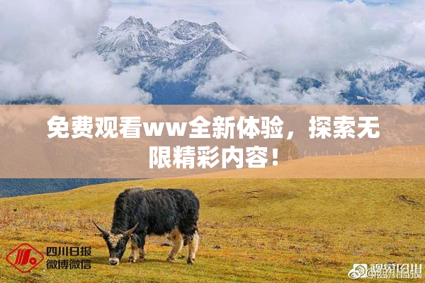 免费观看ww全新体验，探索无限精彩内容！