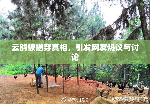 云韵被揭穿真相，引发网友热议与讨论