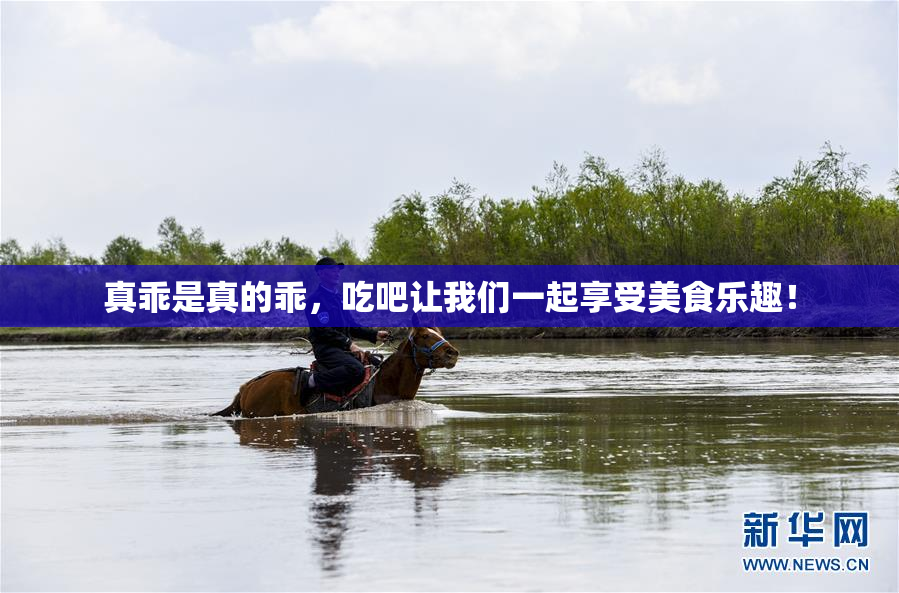 真乖是真的乖，吃吧让我们一起享受美食乐趣！
