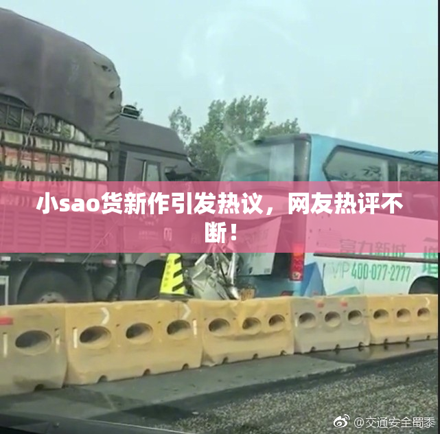 小sao货新作引发热议，网友热评不断！