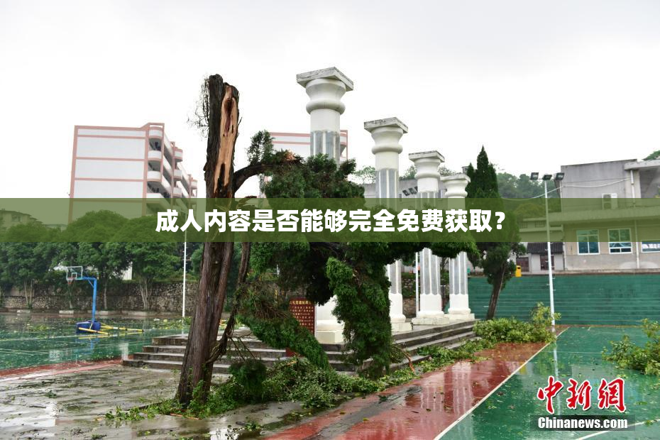 成人内容是否能够完全免费获取？