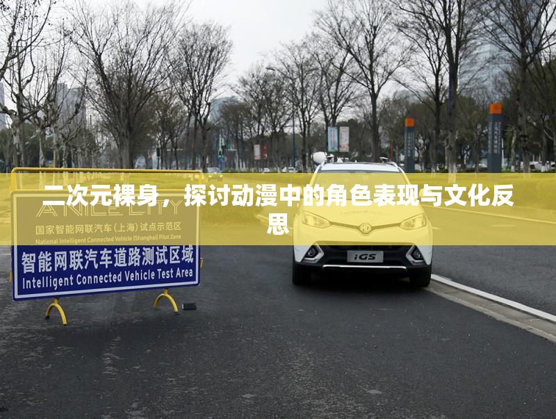 二次元裸身，探讨动漫中的角色表现与文化反思