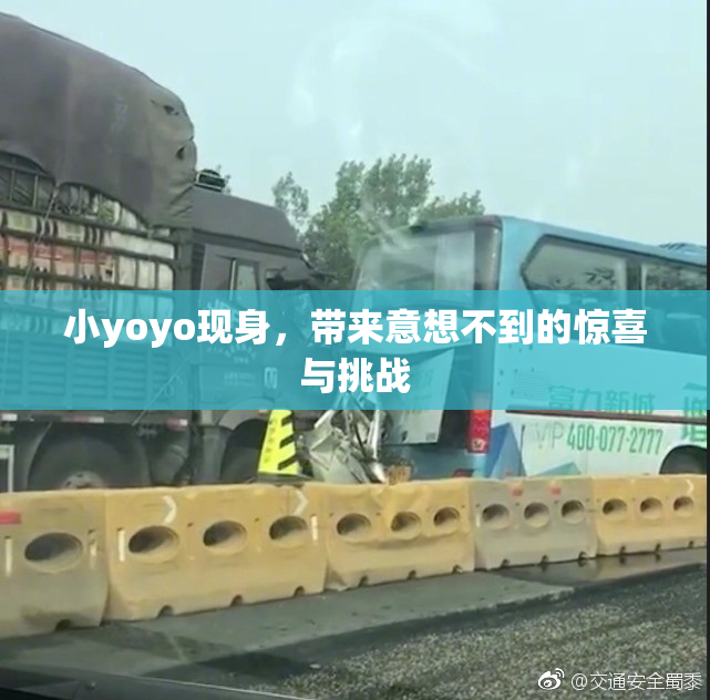 小yoyo现身，带来意想不到的惊喜与挑战