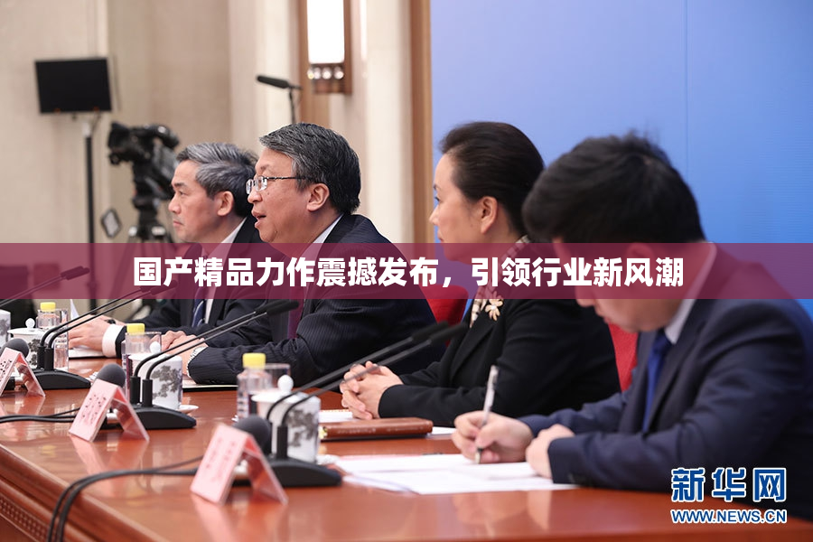 国产精品力作震撼发布，引领行业新风潮