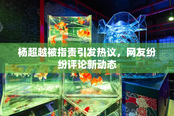 杨超越被指责引发热议，网友纷纷评论新动态