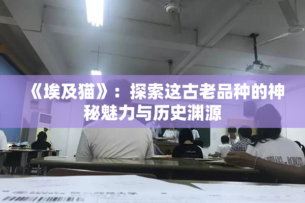 《埃及猫》：探索这古老品种的神秘魅力与历史渊源