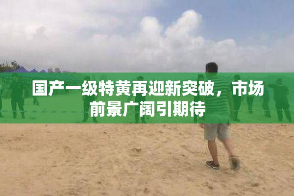 国产一级特黄再迎新突破，市场前景广阔引期待