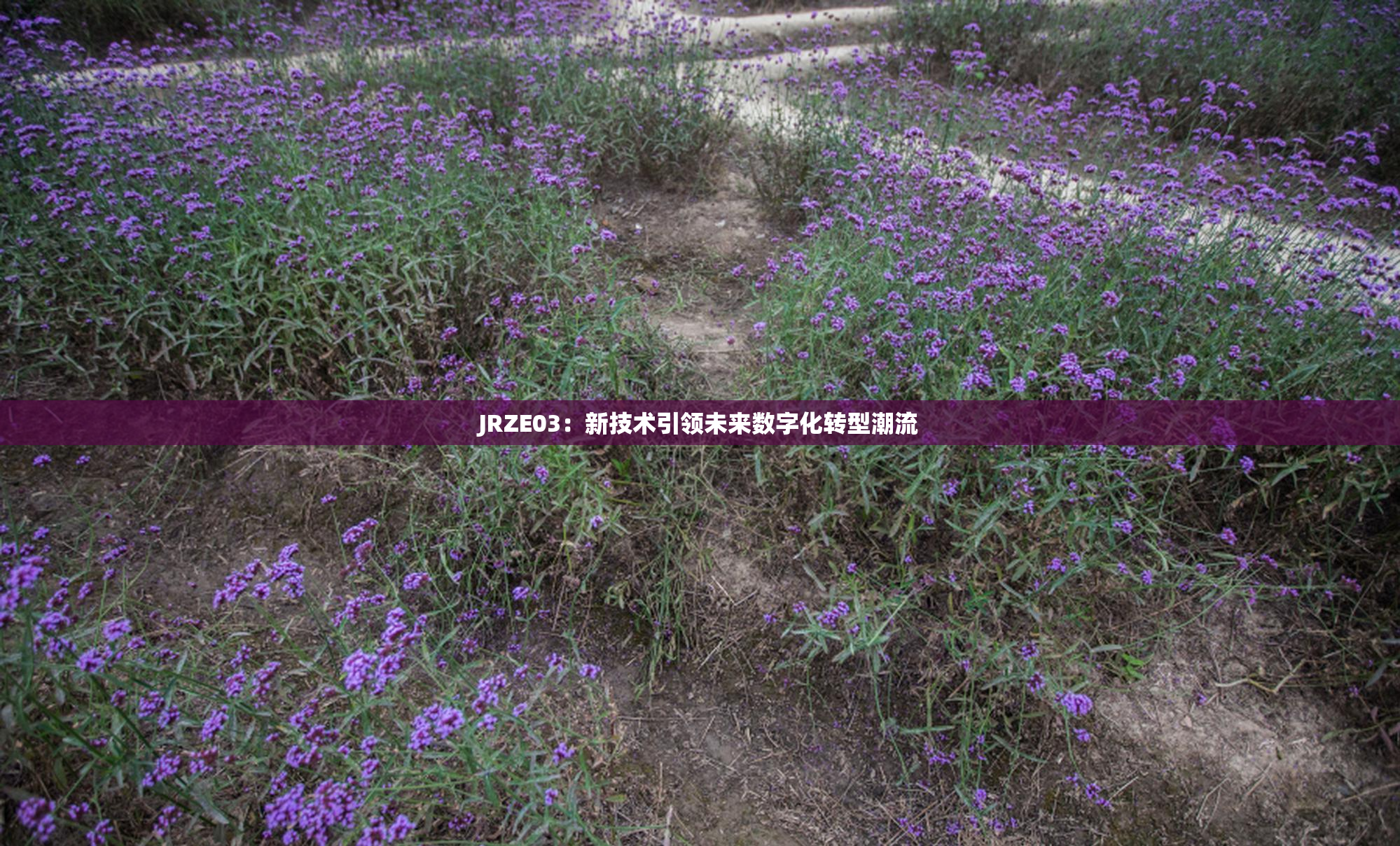 JRZE03：新技术引领未来数字化转型潮流