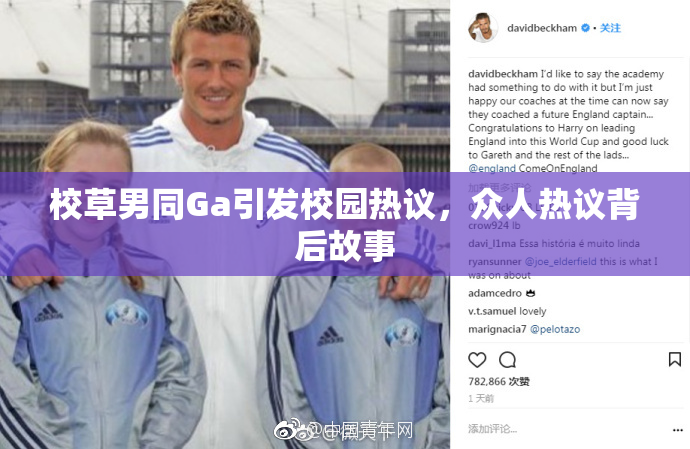 校草男同Ga引发校园热议，众人热议背后故事