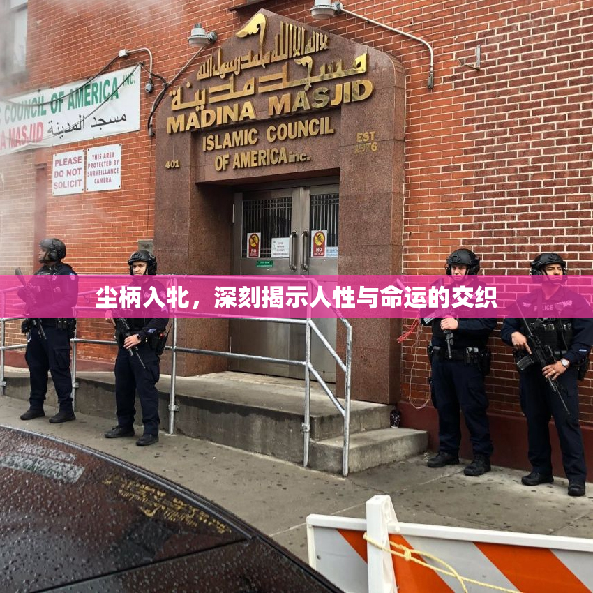 尘柄入牝，深刻揭示人性与命运的交织