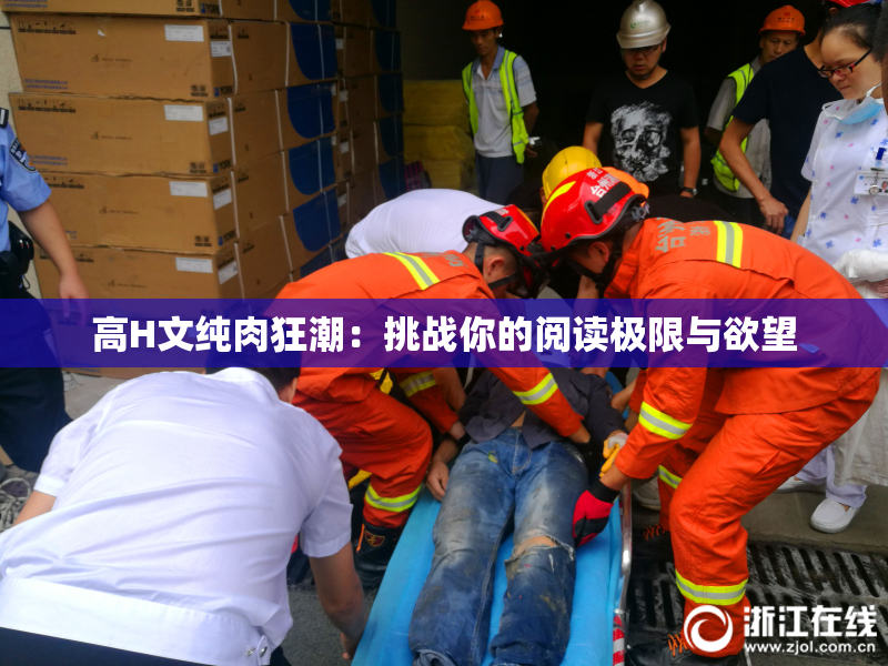 高H文纯肉狂潮：挑战你的阅读极限与欲望