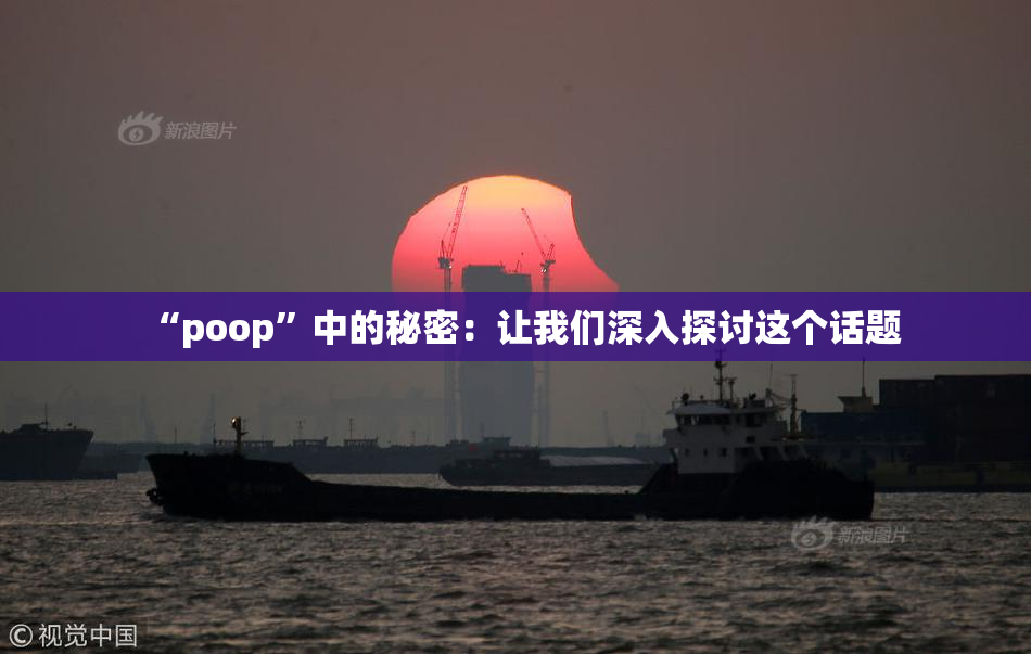 “poop”中的秘密：让我们深入探讨这个话题