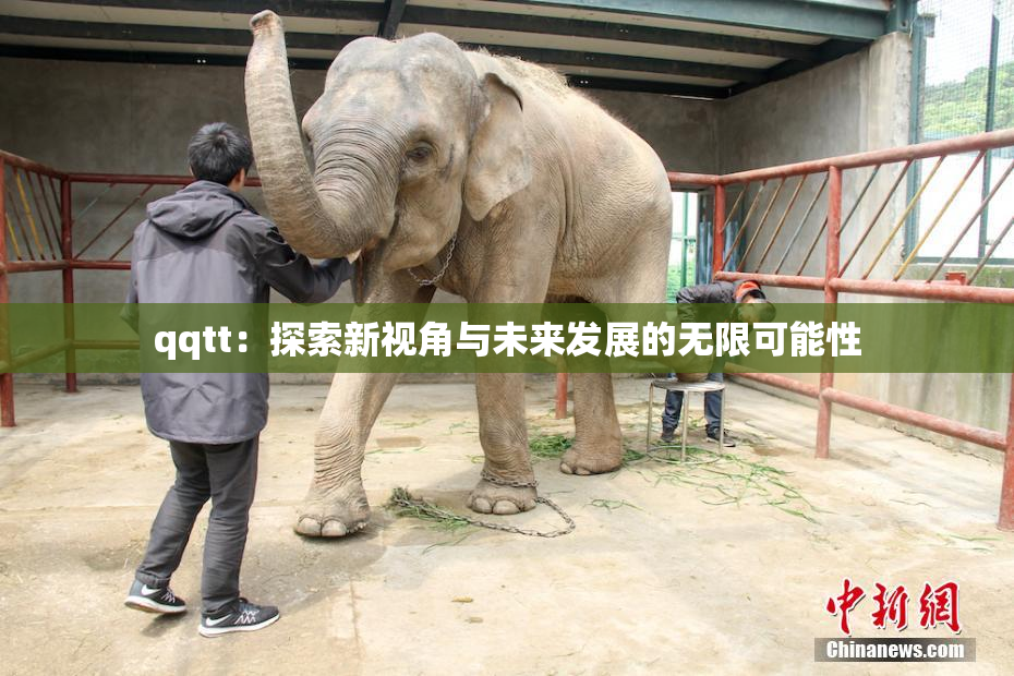 qqtt：探索新视角与未来发展的无限可能性