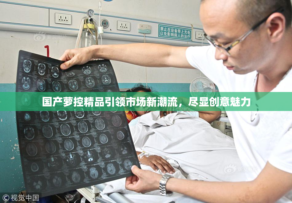 国产萝控精品引领市场新潮流，尽显创意魅力
