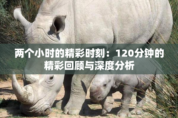 两个小时的精彩时刻：120分钟的精彩回顾与深度分析