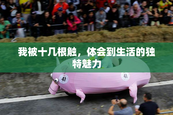 我被十几根触，体会到生活的独特魅力
