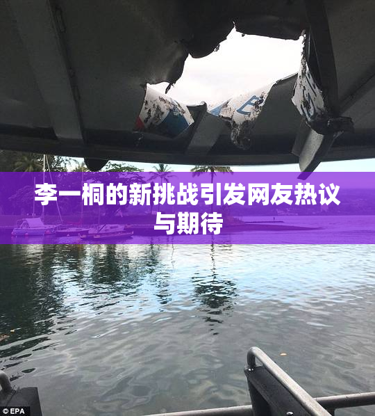 李一桐的新挑战引发网友热议与期待