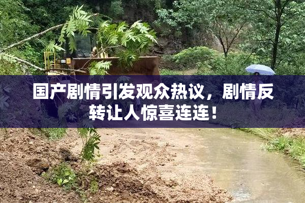 国产剧情引发观众热议，剧情反转让人惊喜连连！