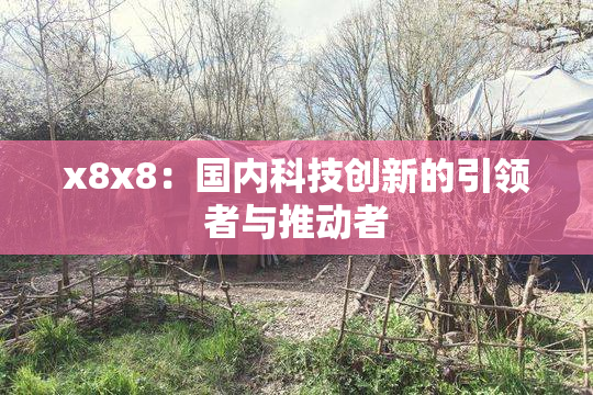 x8x8：国内科技创新的引领者与推动者