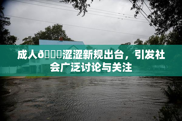 成人🔞涩涩新规出台，引发社会广泛讨论与关注