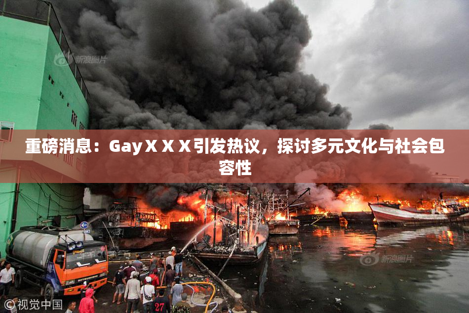 重磅消息：GayⅩⅩⅩ引发热议，探讨多元文化与社会包容性