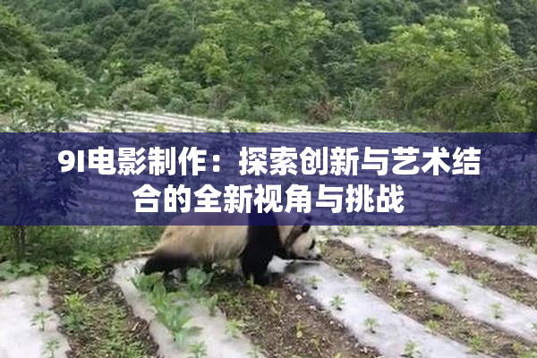 9I电影制作：探索创新与艺术结合的全新视角与挑战