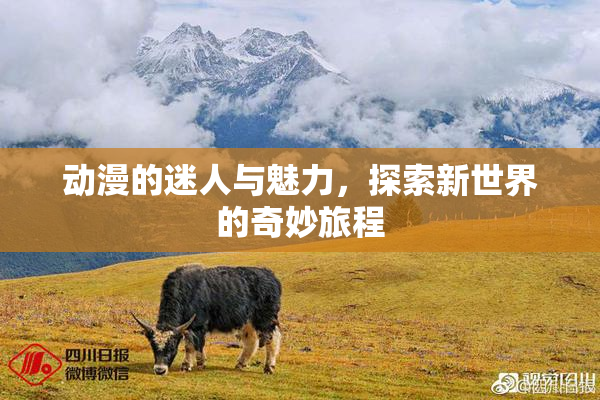 动漫的迷人与魅力，探索新世界的奇妙旅程