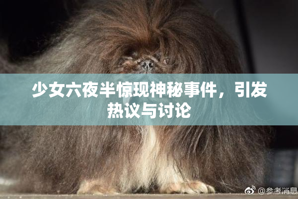 少女六夜半惊现神秘事件，引发热议与讨论
