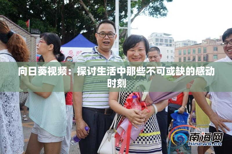 向日葵视频：探讨生活中那些不可或缺的感动时刻