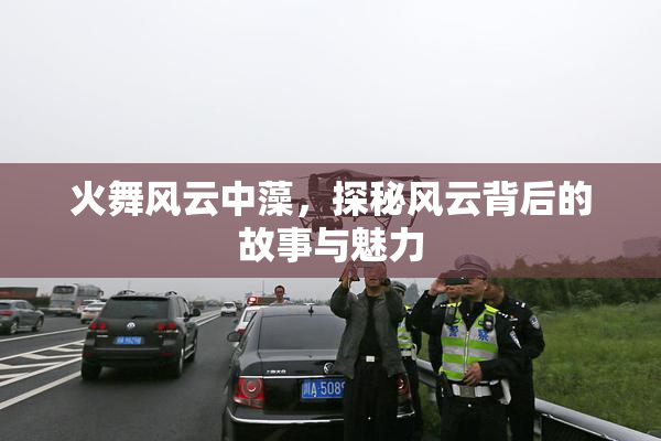 火舞风云中藻，探秘风云背后的故事与魅力