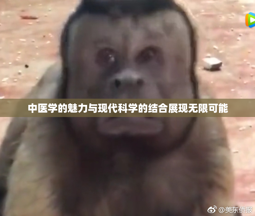 中医学的魅力与现代科学的结合展现无限可能
