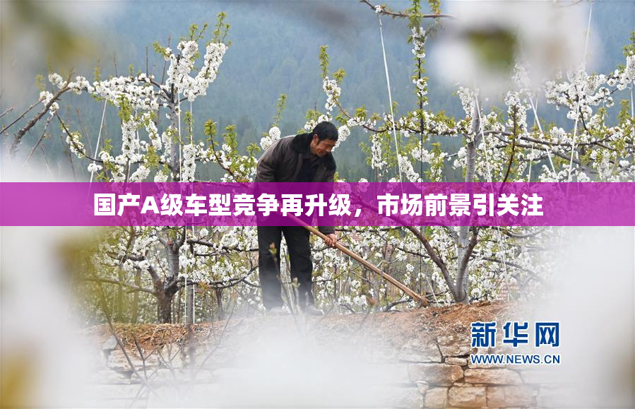 国产A级车型竞争再升级，市场前景引关注