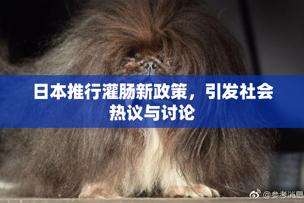 日本推行灌肠新政策，引发社会热议与讨论