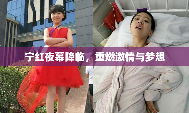 宁红夜幕降临，重燃激情与梦想