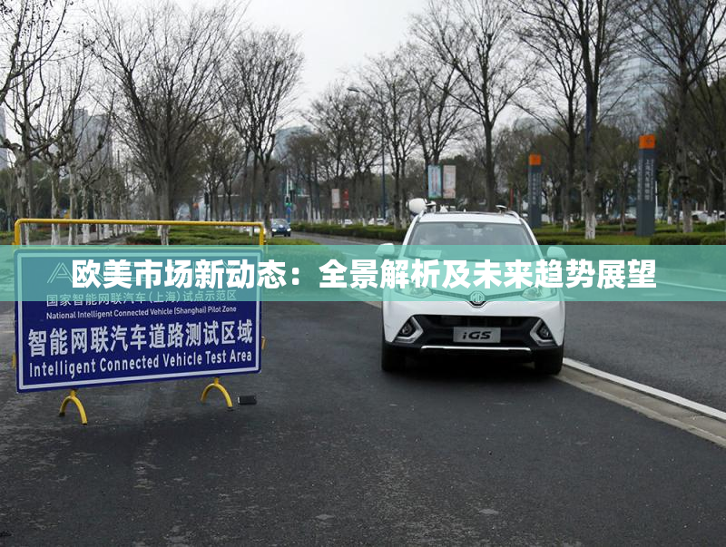 欧美市场新动态：全景解析及未来趋势展望